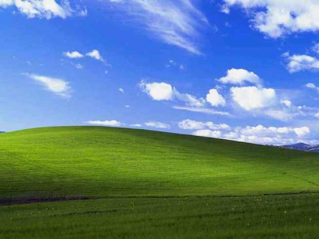 Windows XP bliss wallpaper, photograph of a green hill and blue sky with clouds in the Los Carneros American Viticultural Area of Sonoma County, California, United States.